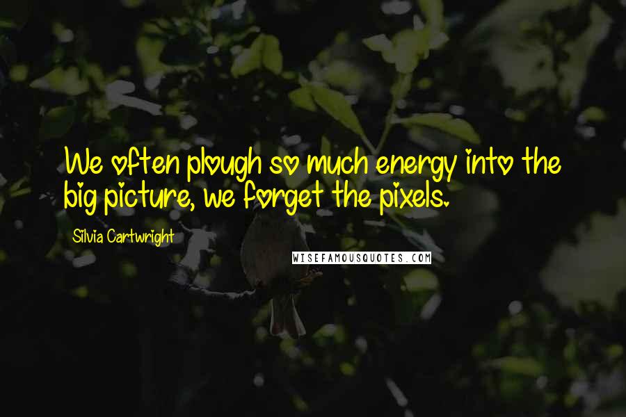 Silvia Cartwright Quotes: We often plough so much energy into the big picture, we forget the pixels.