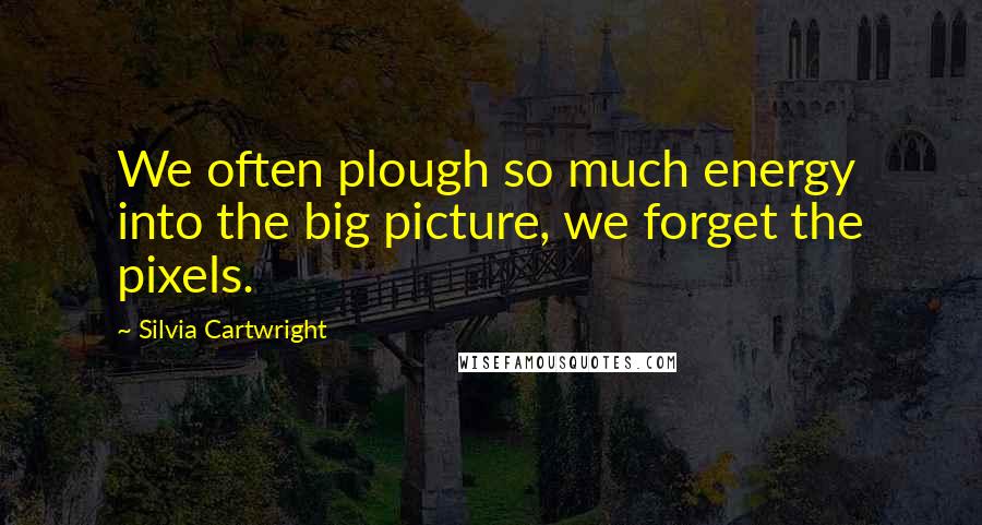 Silvia Cartwright Quotes: We often plough so much energy into the big picture, we forget the pixels.