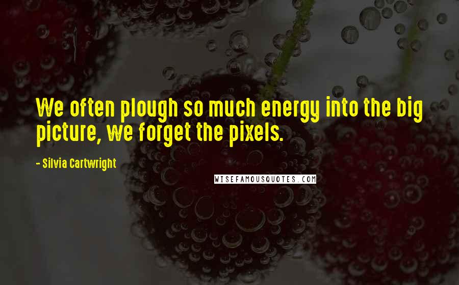 Silvia Cartwright Quotes: We often plough so much energy into the big picture, we forget the pixels.