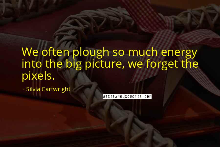 Silvia Cartwright Quotes: We often plough so much energy into the big picture, we forget the pixels.
