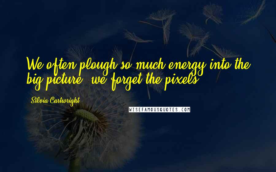 Silvia Cartwright Quotes: We often plough so much energy into the big picture, we forget the pixels.