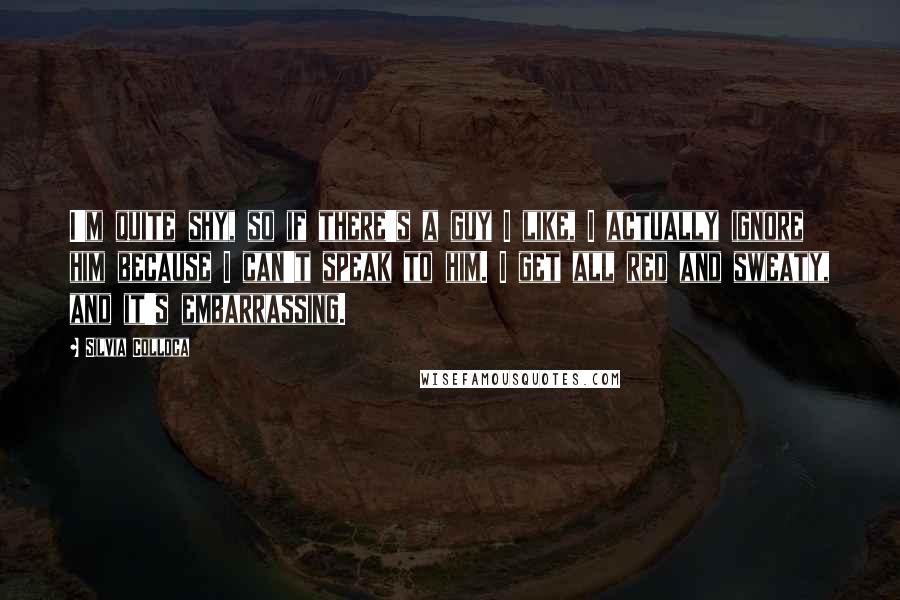 Silvia Colloca Quotes: I'm quite shy, so if there's a guy I like, I actually ignore him because I can't speak to him. I get all red and sweaty, and it's embarrassing.