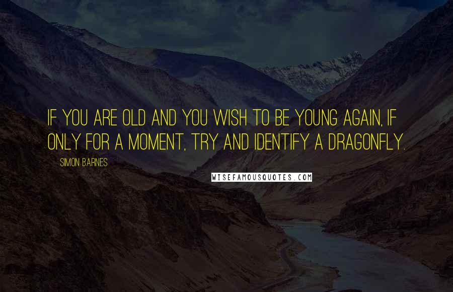 Simon Barnes Quotes: If you are old and you wish to be young again, if only for a moment, try and identify a dragonfly.