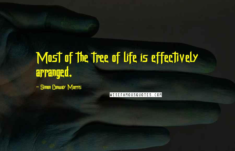 Simon Conway Morris Quotes: Most of the tree of life is effectively arranged.
