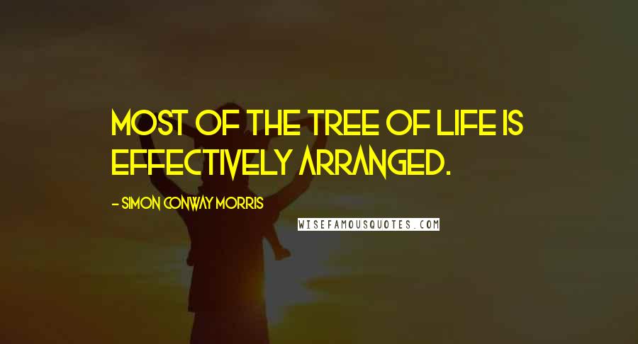 Simon Conway Morris Quotes: Most of the tree of life is effectively arranged.