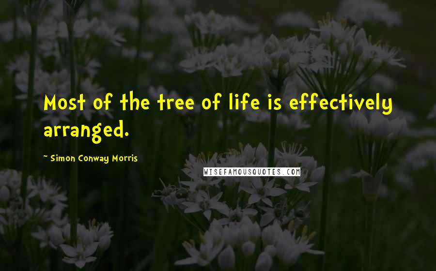 Simon Conway Morris Quotes: Most of the tree of life is effectively arranged.