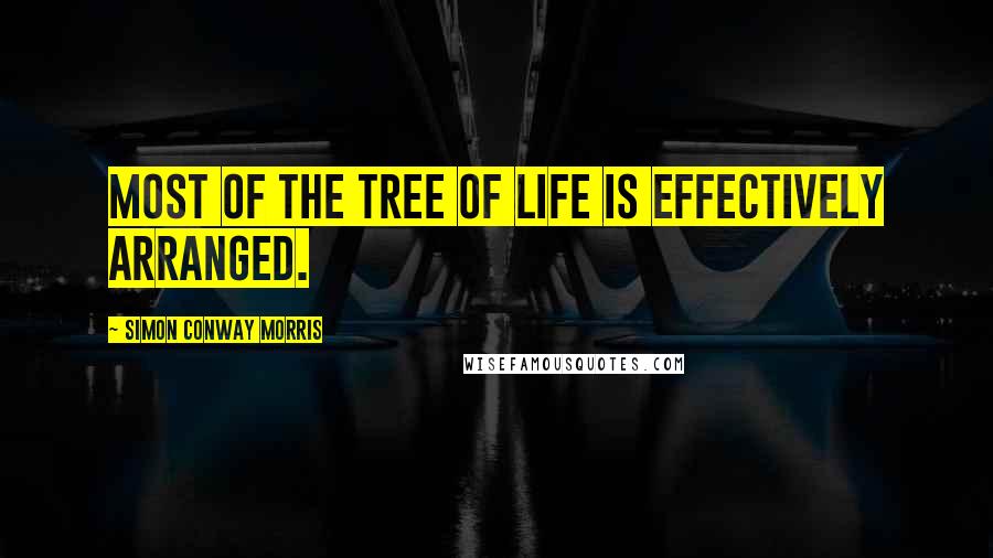 Simon Conway Morris Quotes: Most of the tree of life is effectively arranged.