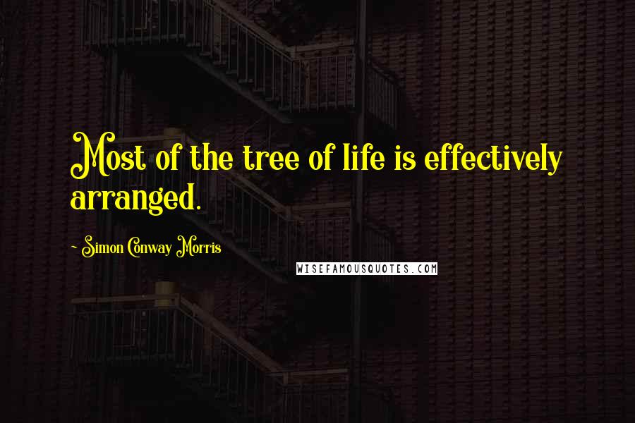 Simon Conway Morris Quotes: Most of the tree of life is effectively arranged.