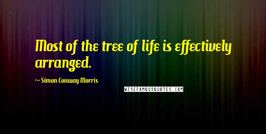 Simon Conway Morris Quotes: Most of the tree of life is effectively arranged.