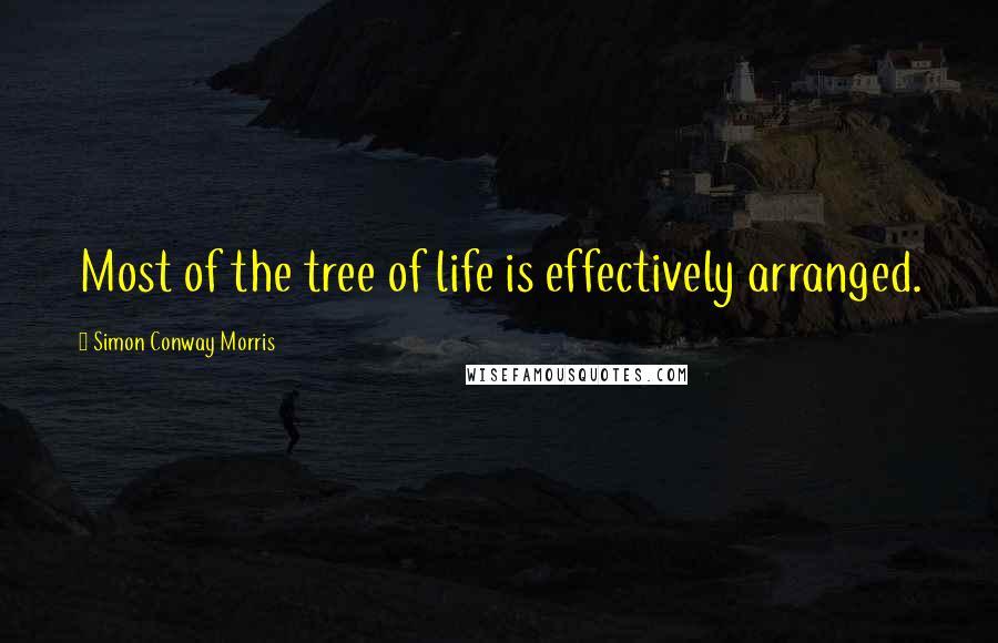 Simon Conway Morris Quotes: Most of the tree of life is effectively arranged.