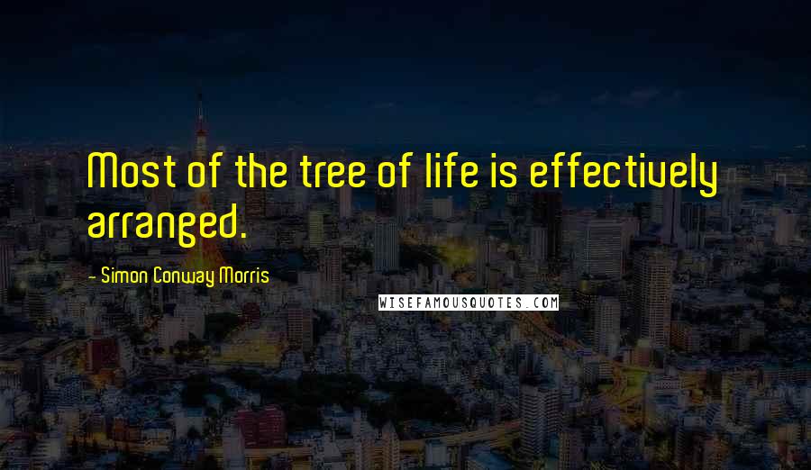 Simon Conway Morris Quotes: Most of the tree of life is effectively arranged.