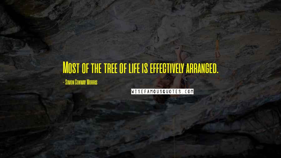 Simon Conway Morris Quotes: Most of the tree of life is effectively arranged.