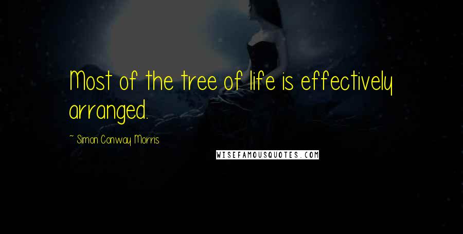Simon Conway Morris Quotes: Most of the tree of life is effectively arranged.