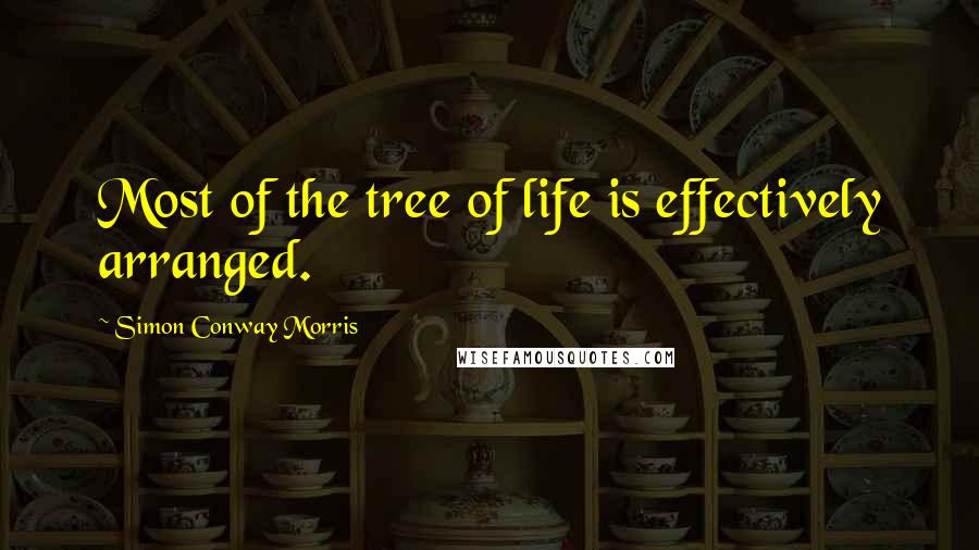 Simon Conway Morris Quotes: Most of the tree of life is effectively arranged.