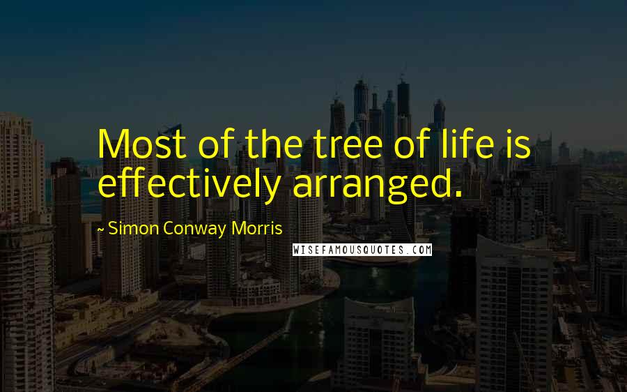 Simon Conway Morris Quotes: Most of the tree of life is effectively arranged.