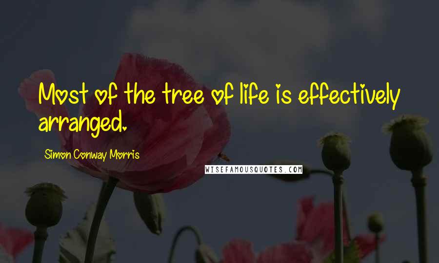 Simon Conway Morris Quotes: Most of the tree of life is effectively arranged.