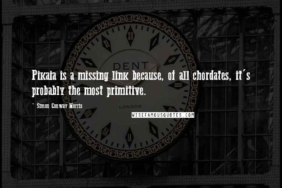 Simon Conway Morris Quotes: Pikaia is a missing link because, of all chordates, it's probably the most primitive.