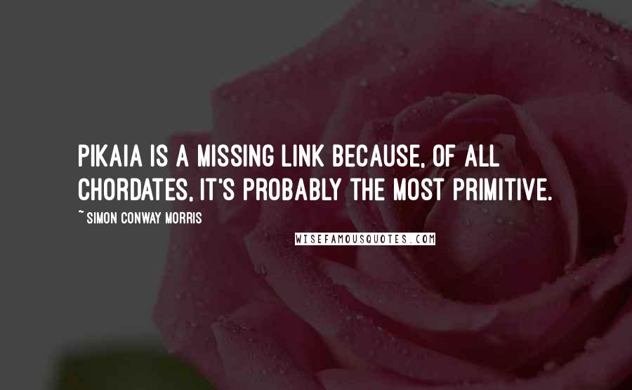 Simon Conway Morris Quotes: Pikaia is a missing link because, of all chordates, it's probably the most primitive.