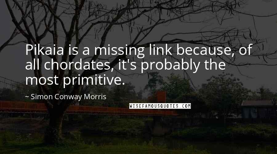 Simon Conway Morris Quotes: Pikaia is a missing link because, of all chordates, it's probably the most primitive.