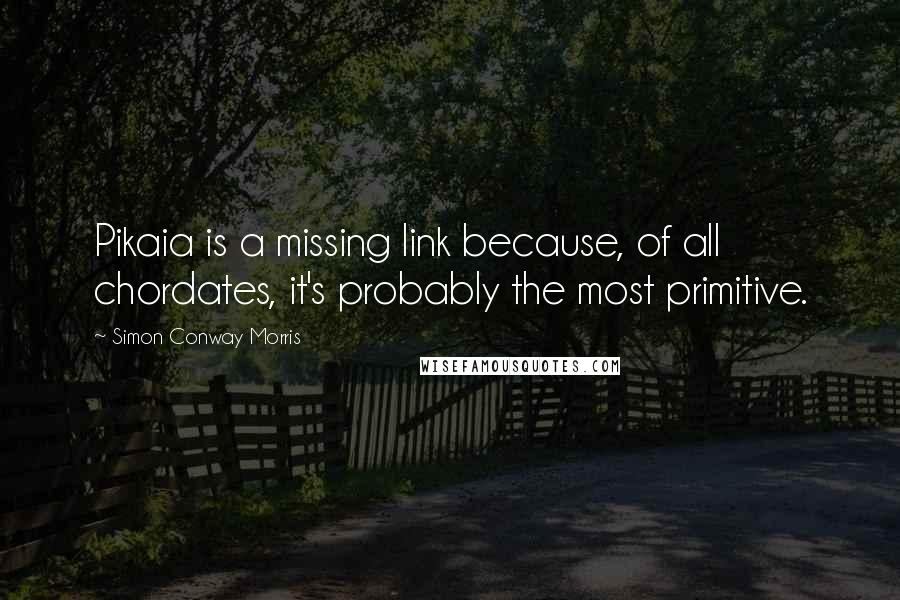 Simon Conway Morris Quotes: Pikaia is a missing link because, of all chordates, it's probably the most primitive.