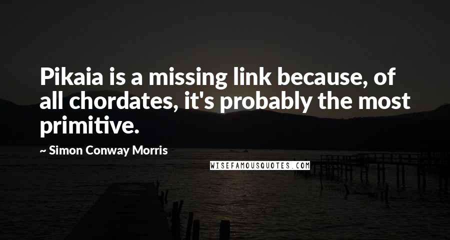 Simon Conway Morris Quotes: Pikaia is a missing link because, of all chordates, it's probably the most primitive.