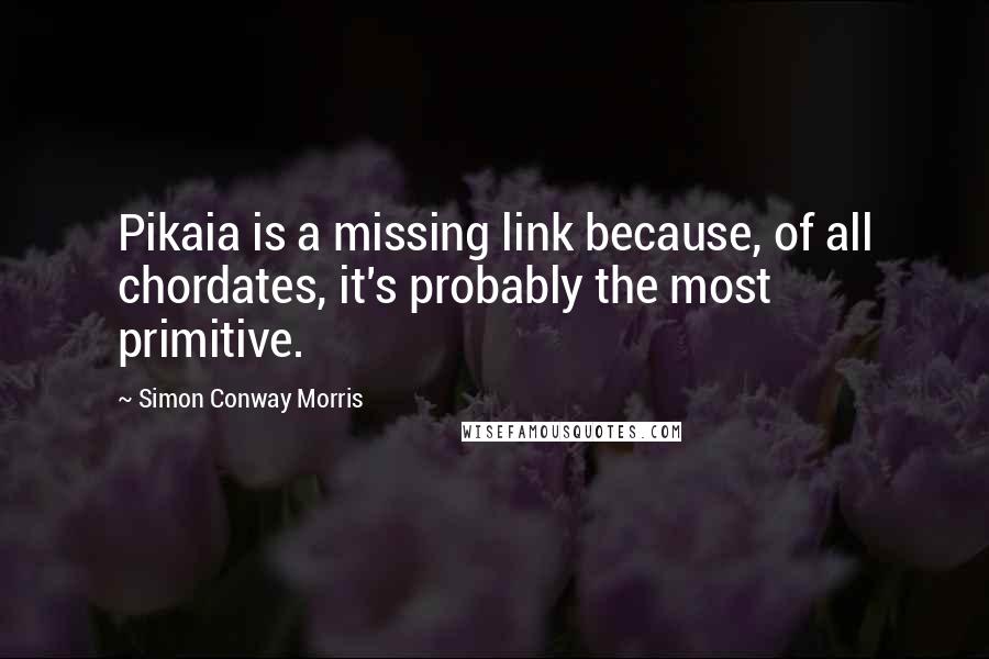 Simon Conway Morris Quotes: Pikaia is a missing link because, of all chordates, it's probably the most primitive.