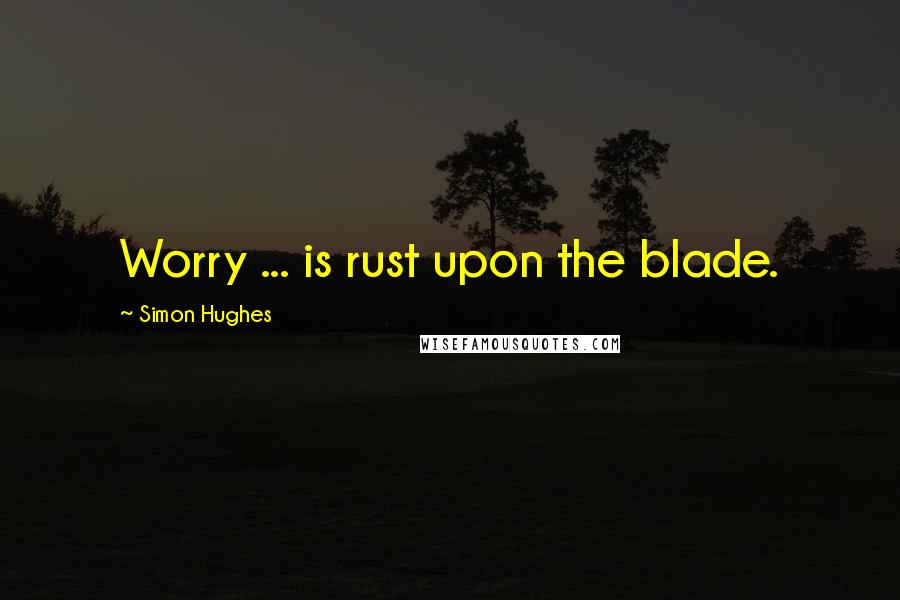 Simon Hughes Quotes: Worry ... is rust upon the blade.