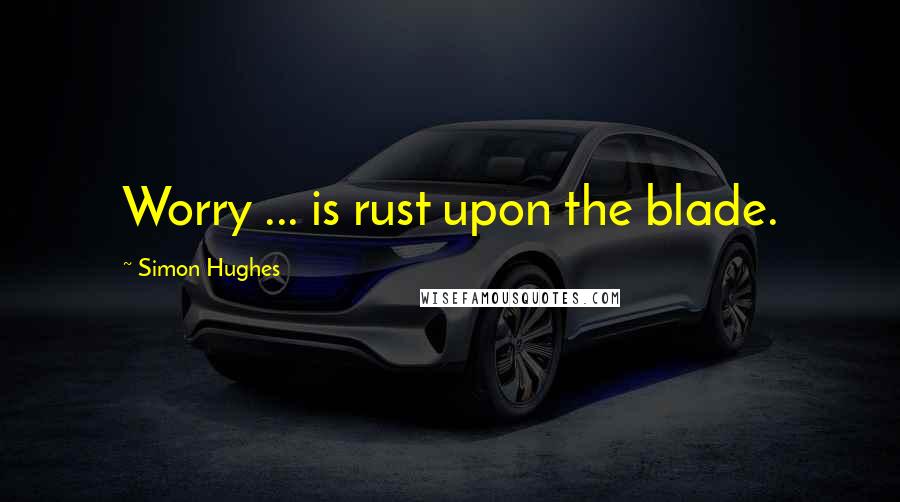 Simon Hughes Quotes: Worry ... is rust upon the blade.
