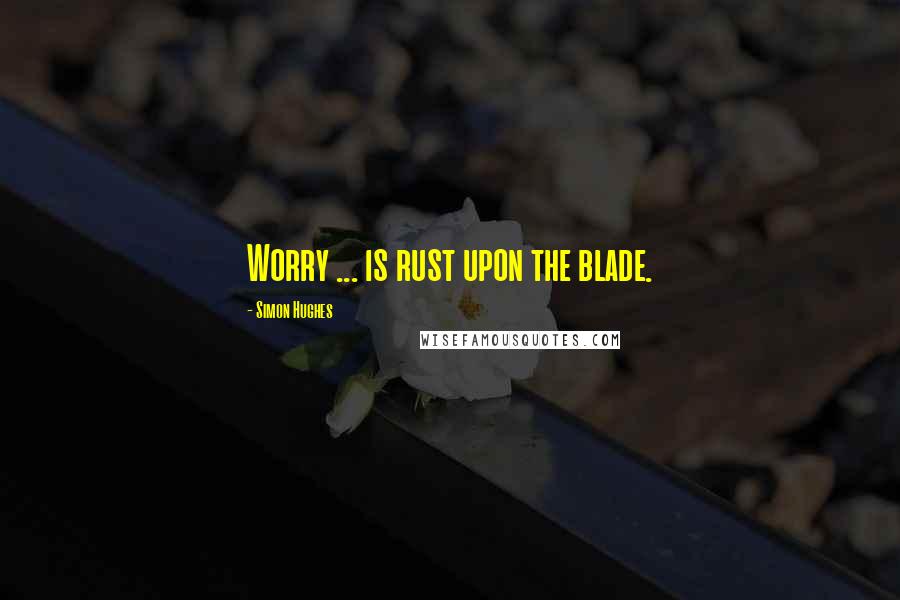 Simon Hughes Quotes: Worry ... is rust upon the blade.