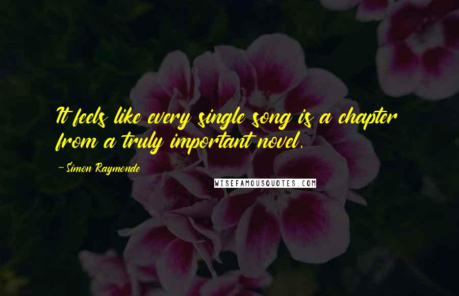 Simon Raymonde Quotes: It feels like every single song is a chapter from a truly important novel.