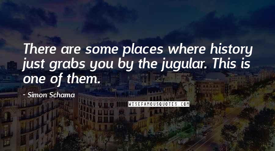 Simon Schama Quotes: There are some places where history just grabs you by the jugular. This is one of them.