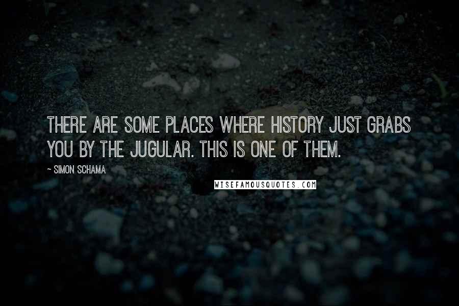 Simon Schama Quotes: There are some places where history just grabs you by the jugular. This is one of them.
