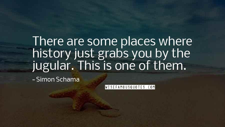Simon Schama Quotes: There are some places where history just grabs you by the jugular. This is one of them.