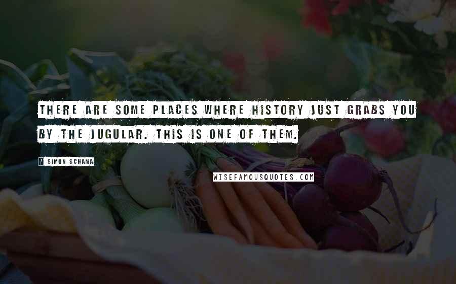 Simon Schama Quotes: There are some places where history just grabs you by the jugular. This is one of them.