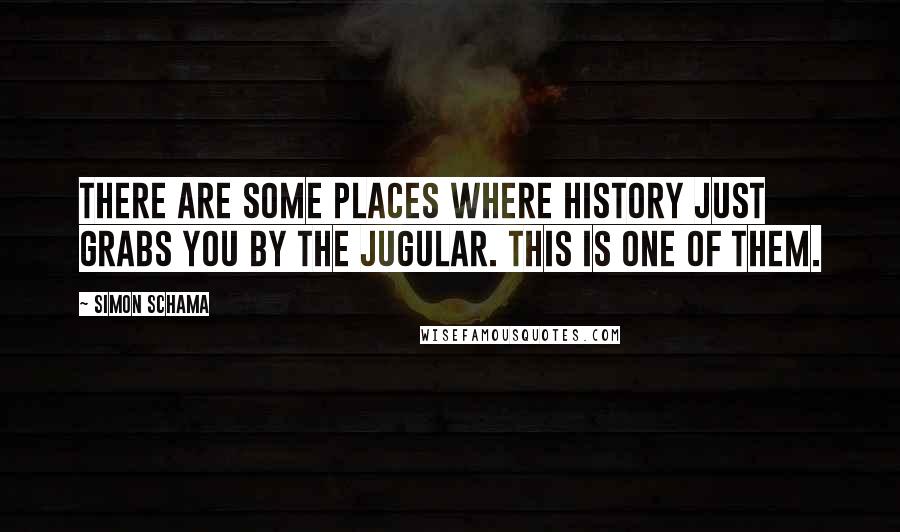 Simon Schama Quotes: There are some places where history just grabs you by the jugular. This is one of them.