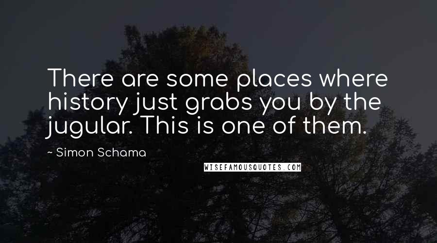 Simon Schama Quotes: There are some places where history just grabs you by the jugular. This is one of them.