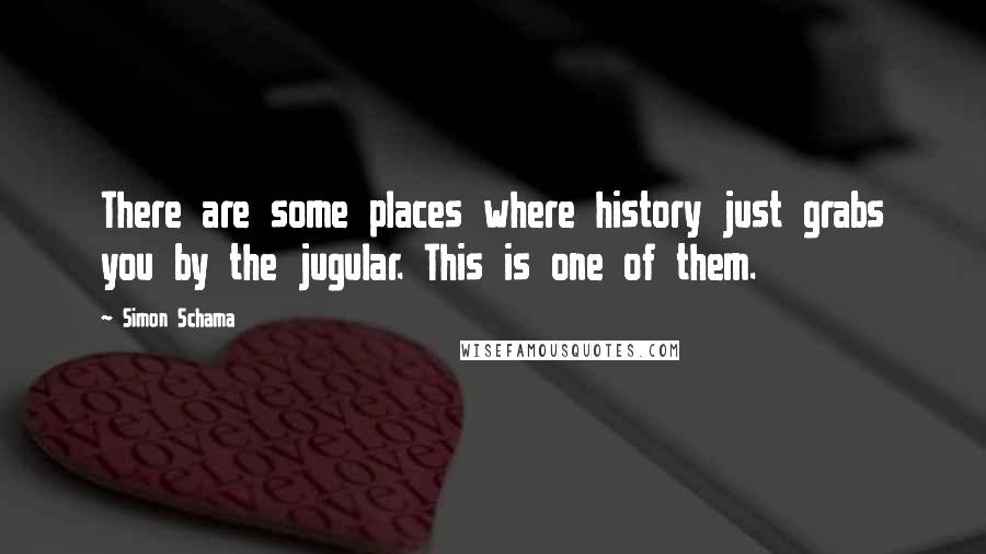 Simon Schama Quotes: There are some places where history just grabs you by the jugular. This is one of them.