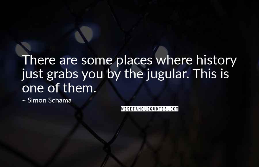 Simon Schama Quotes: There are some places where history just grabs you by the jugular. This is one of them.
