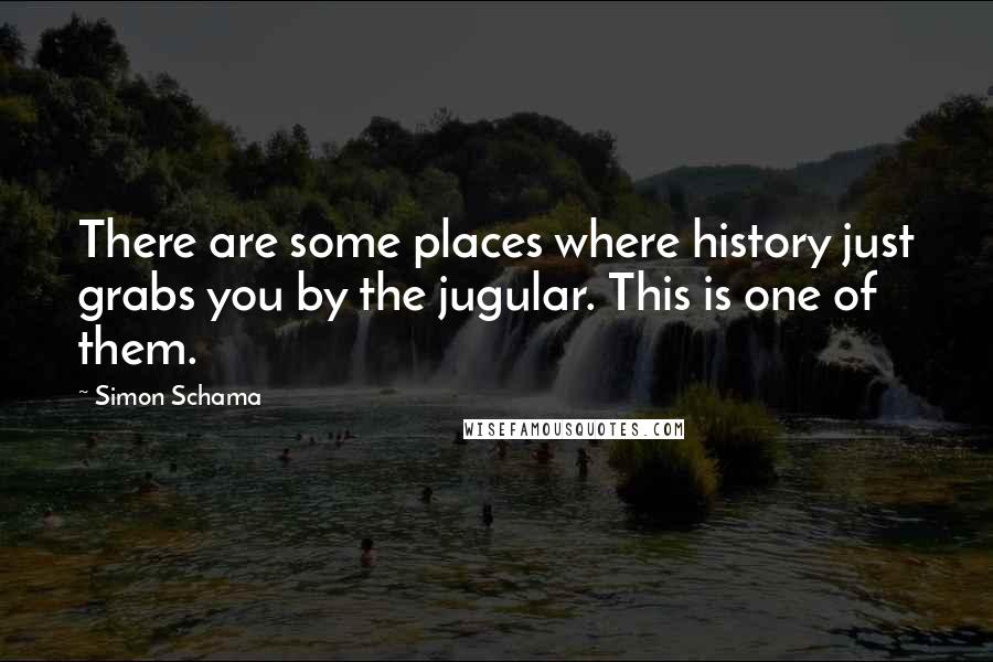 Simon Schama Quotes: There are some places where history just grabs you by the jugular. This is one of them.