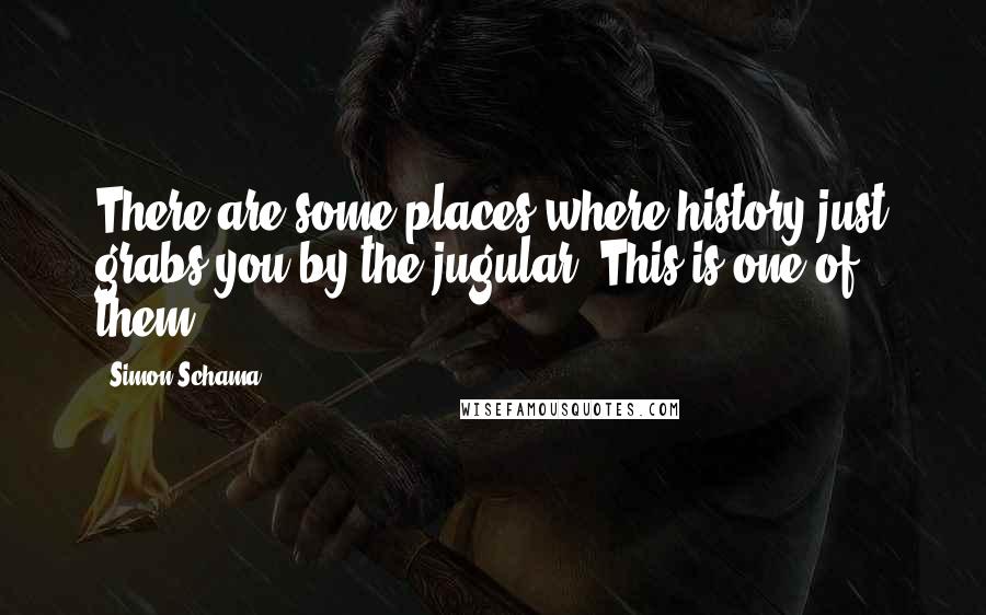 Simon Schama Quotes: There are some places where history just grabs you by the jugular. This is one of them.