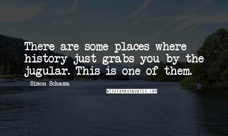 Simon Schama Quotes: There are some places where history just grabs you by the jugular. This is one of them.