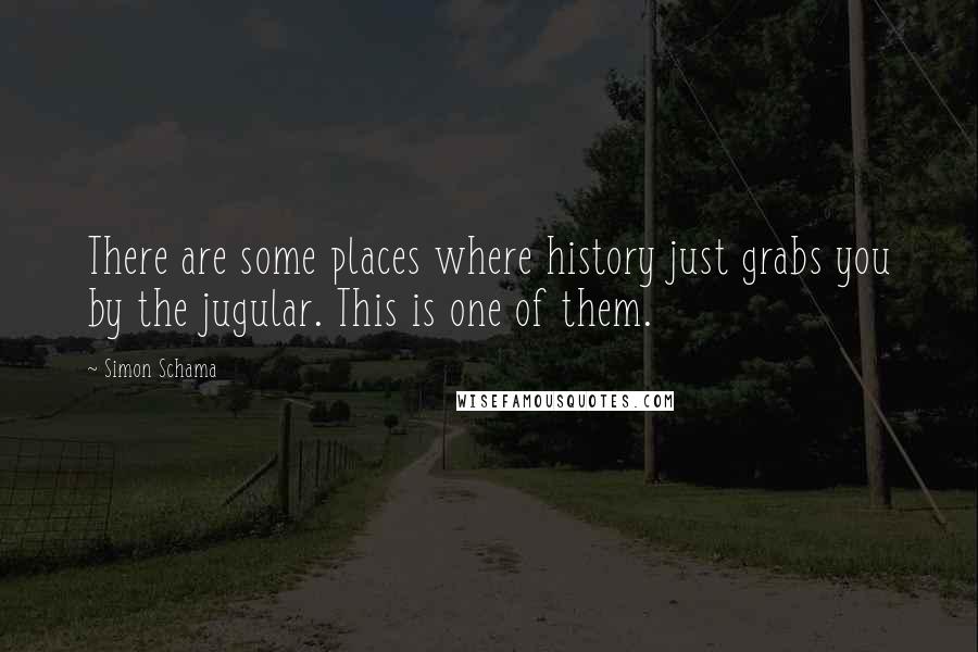 Simon Schama Quotes: There are some places where history just grabs you by the jugular. This is one of them.