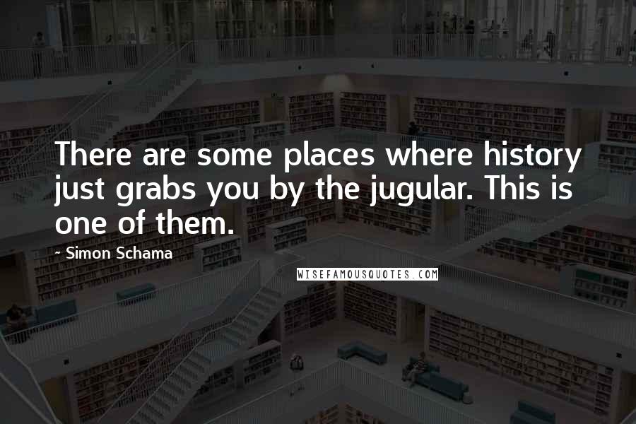 Simon Schama Quotes: There are some places where history just grabs you by the jugular. This is one of them.