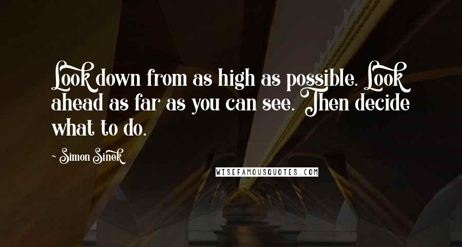 Simon Sinek Quotes: Look down from as high as possible. Look ahead as far as you can see. Then decide what to do.