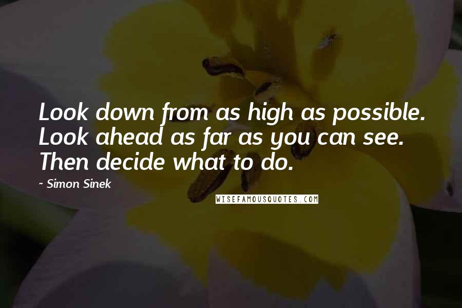 Simon Sinek Quotes: Look down from as high as possible. Look ahead as far as you can see. Then decide what to do.