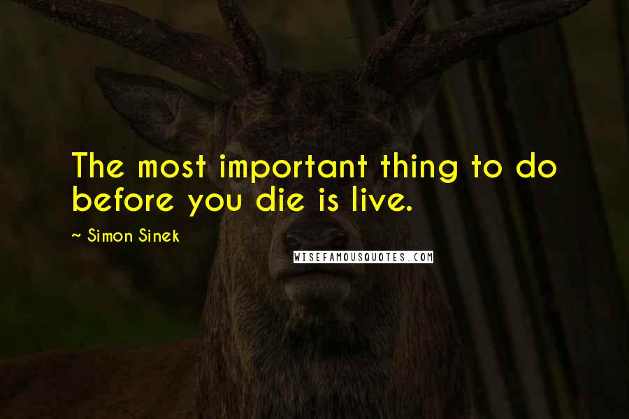 Simon Sinek Quotes: The most important thing to do before you die is live.