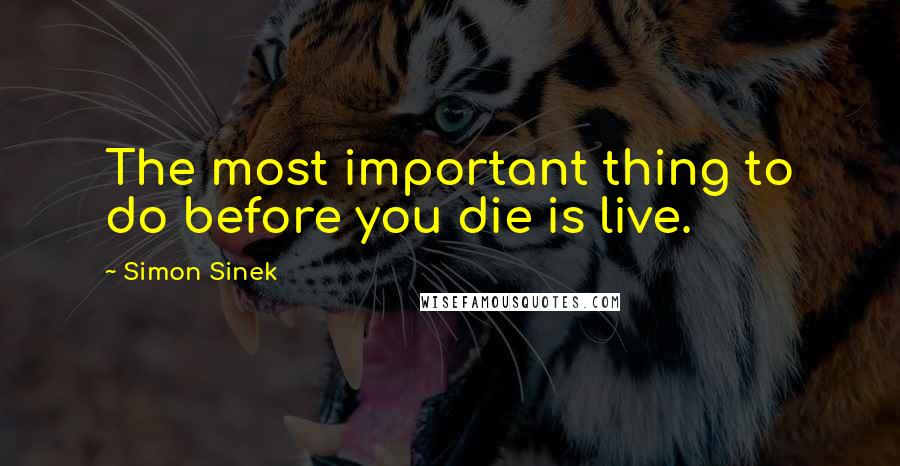 Simon Sinek Quotes: The most important thing to do before you die is live.