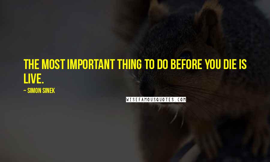 Simon Sinek Quotes: The most important thing to do before you die is live.