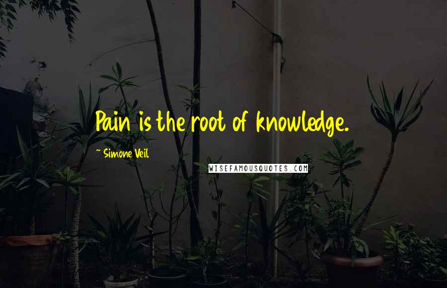 Simone Veil Quotes: Pain is the root of knowledge.