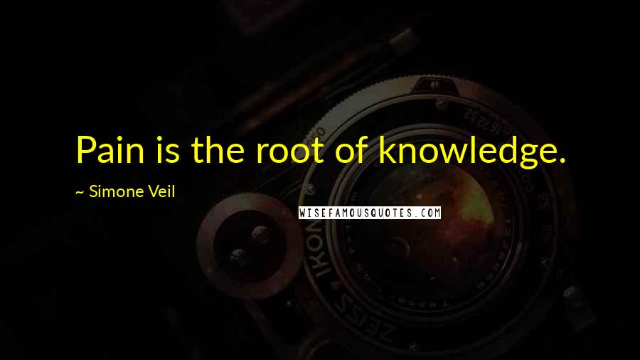 Simone Veil Quotes: Pain is the root of knowledge.